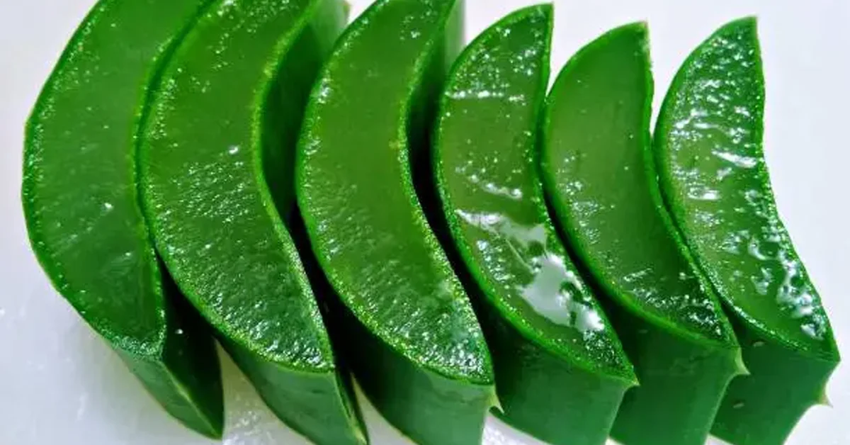 gel ooru com